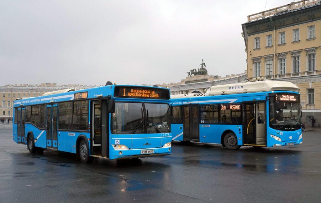 новые автобусы в спб