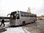 Автобус на 50 мест Renault